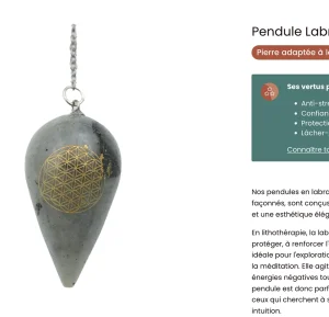 Screenshot site terramama