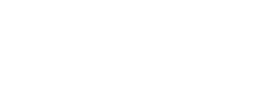Logo DLV