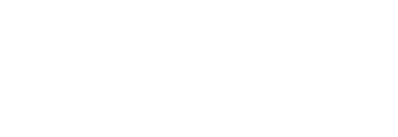 Logo Loomi