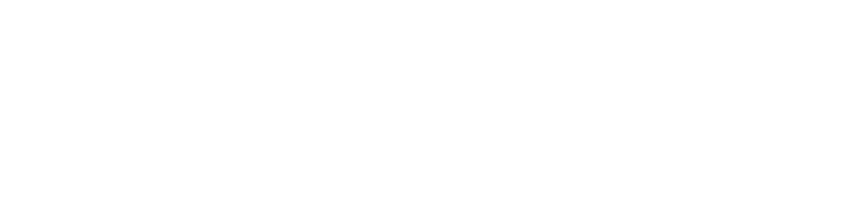 Logo Safty