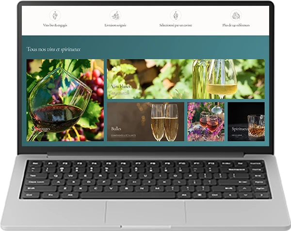 Cave pépite, site Shopify